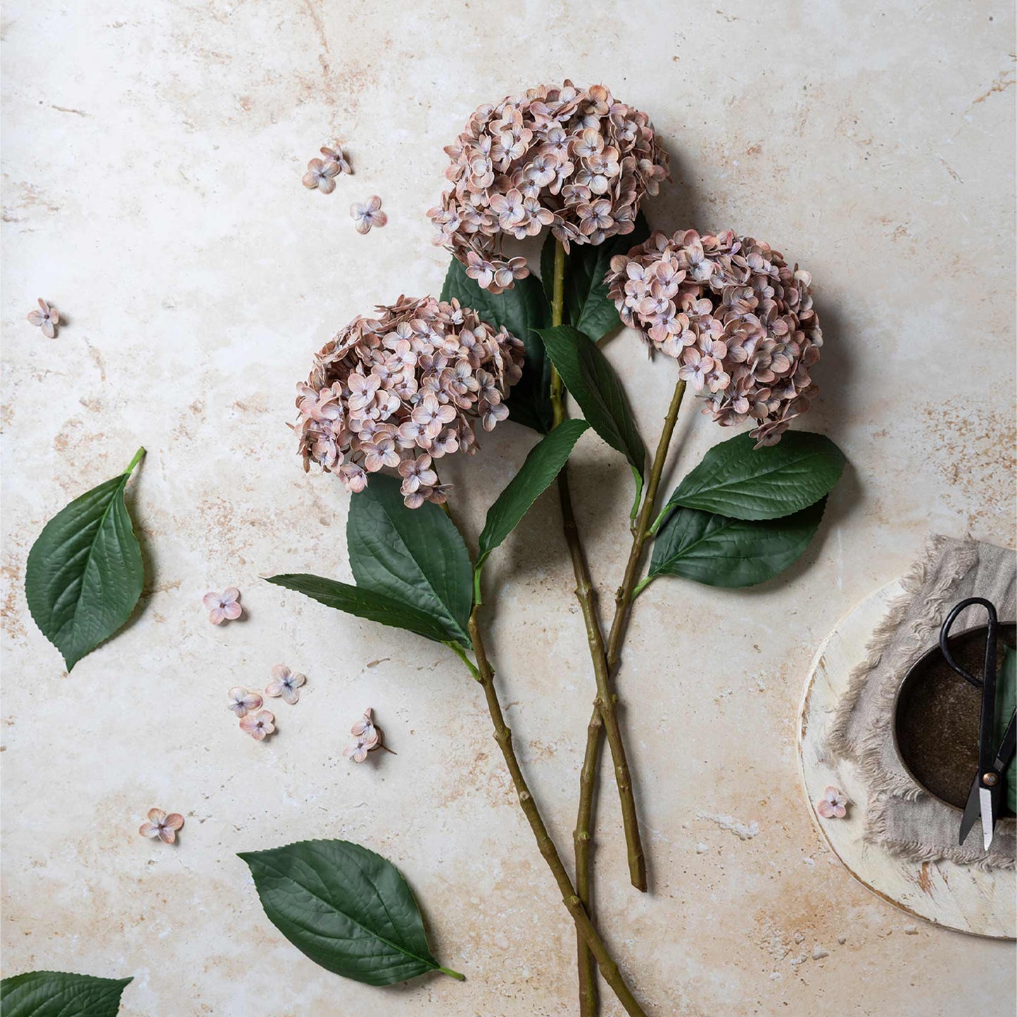 DIMM: Gerviblóm · Hydrangea · Antique Blush