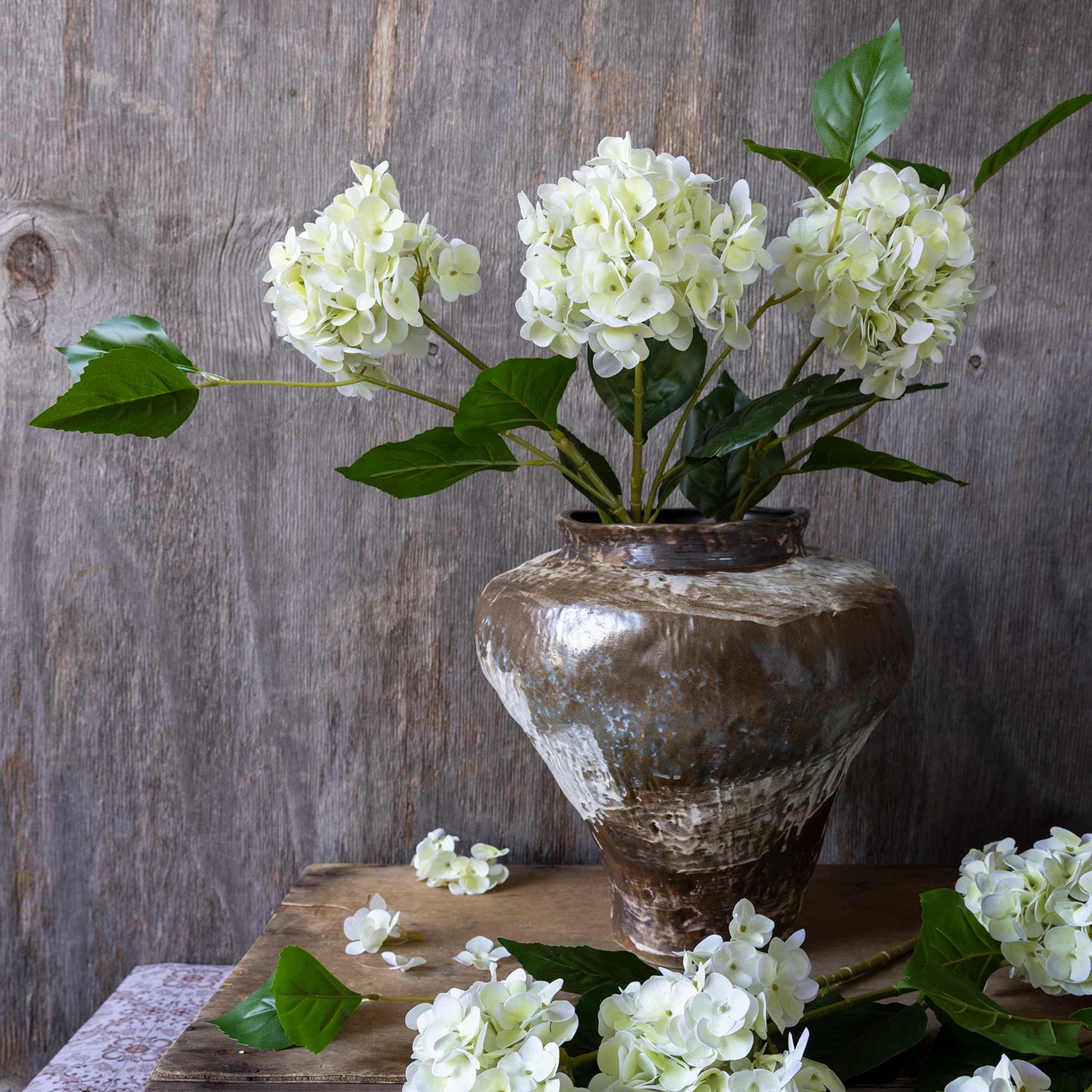 DIMM: Gerviblóm · Hydrangea Zest
