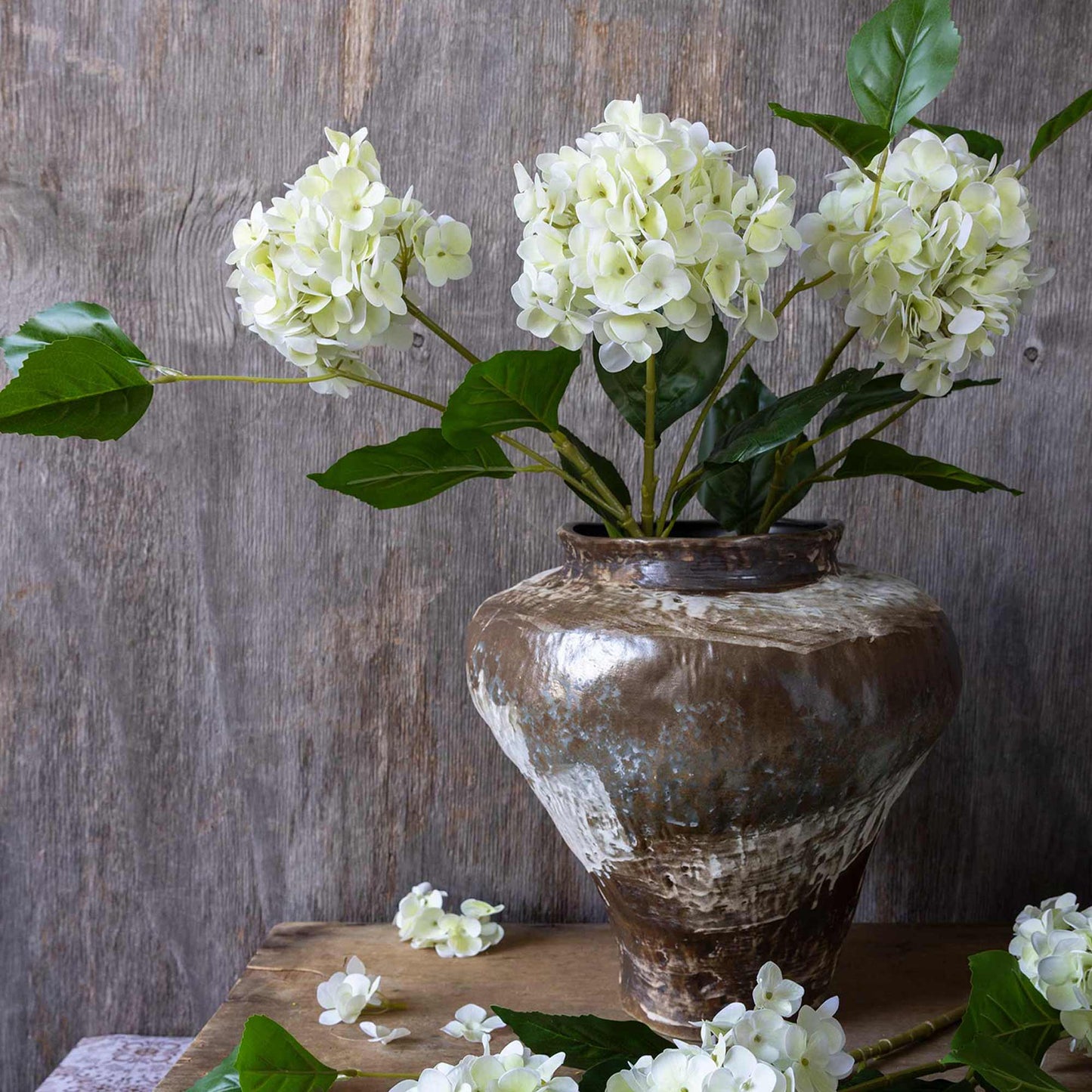 DIMM: Gerviblóm · Hydrangea Zest