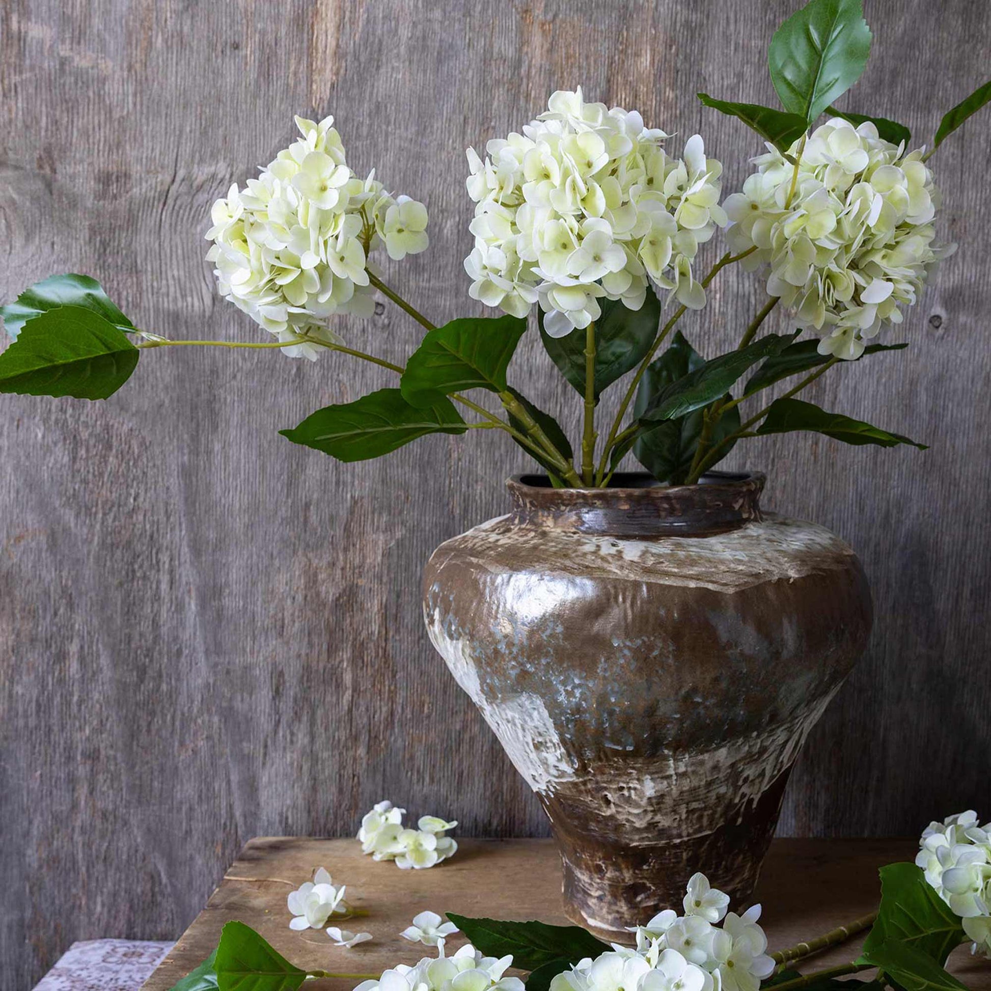 DIMM: Gerviblóm · Hydrangea Zest