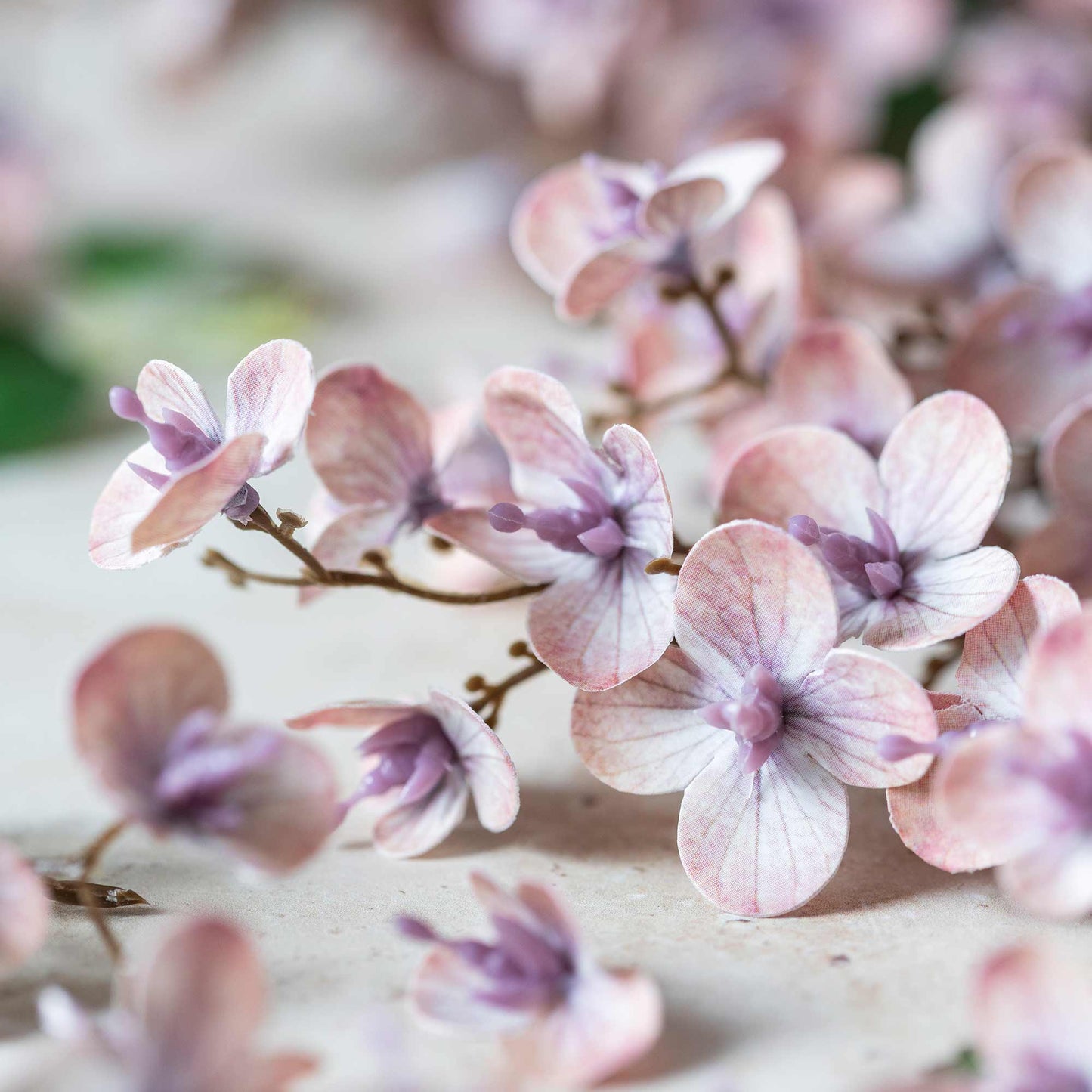 DIMM: Gerviblóm · Japanese Cherry Blush