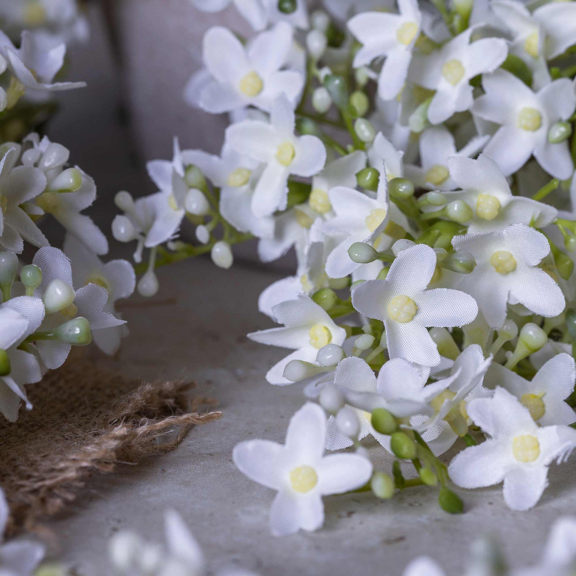 DIMM: Gerviblóm · Lilac Stem · White