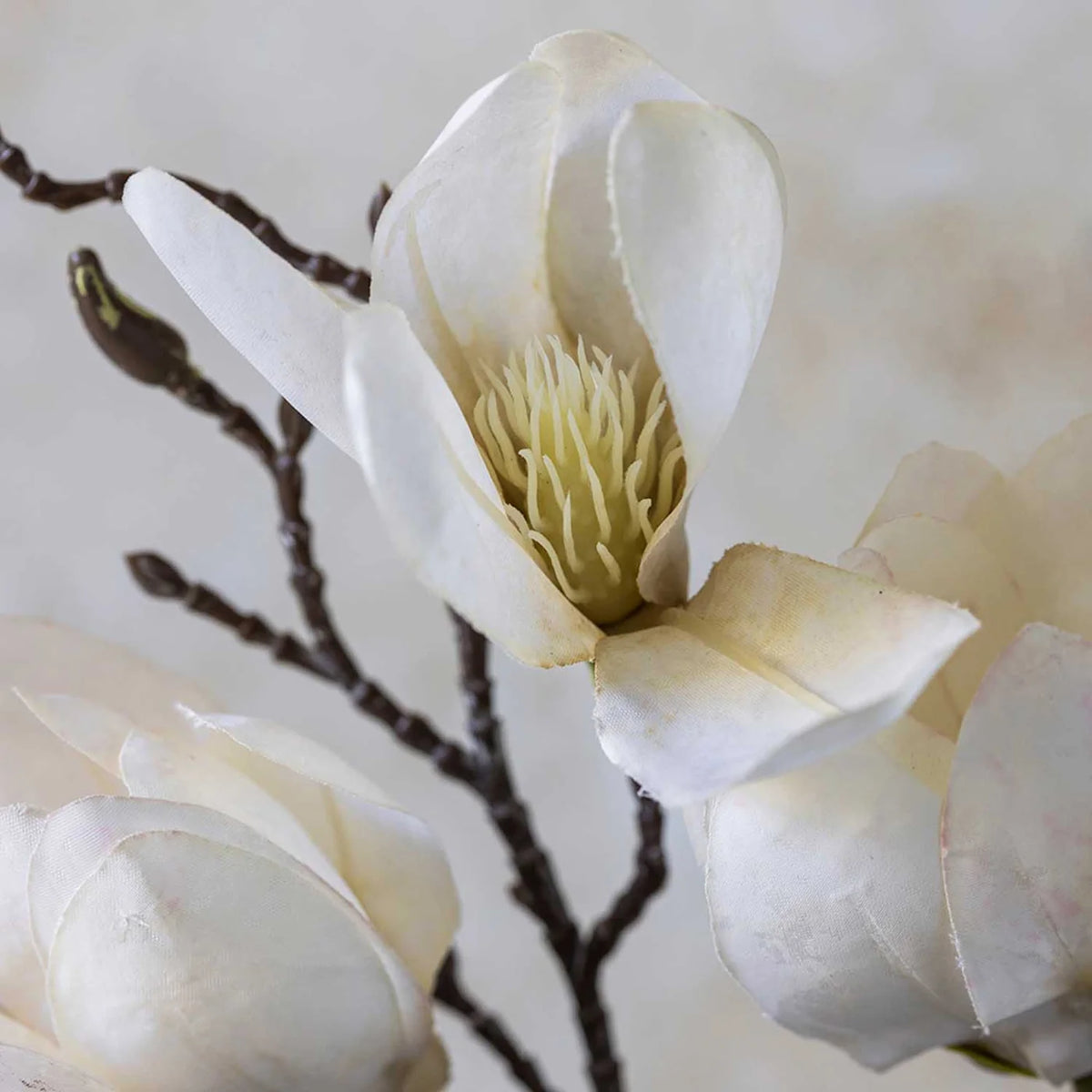 DIMM: Gerviblóm · Magnolia