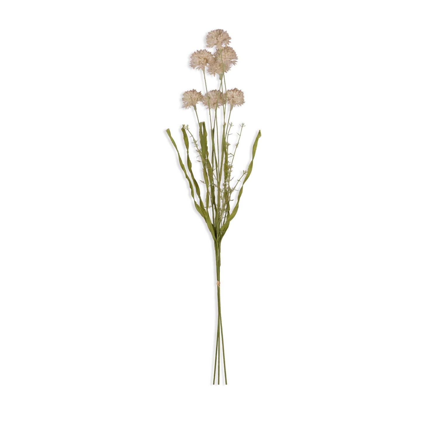 Gerviblóm · Melaleuca Cream · stór