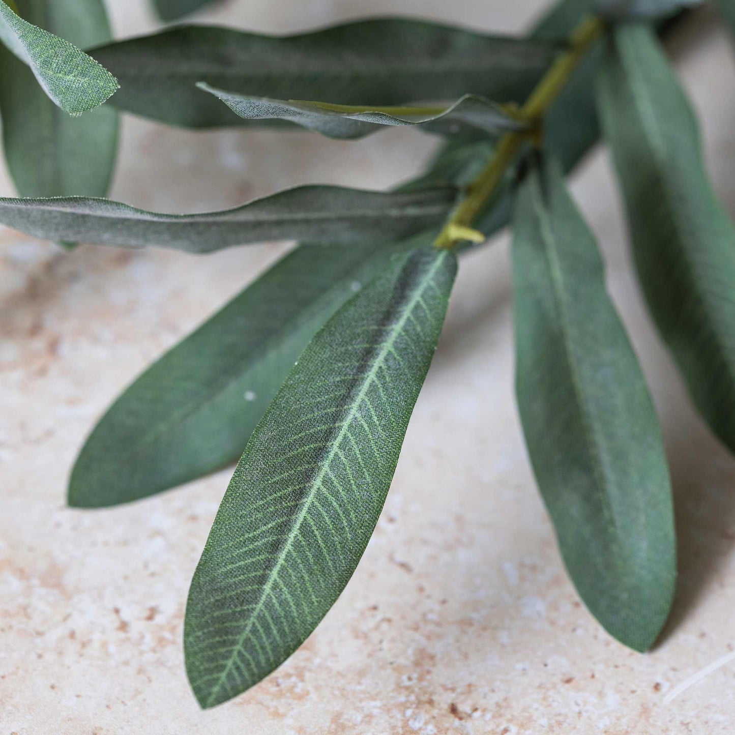 DIMM: Gerviblóm · Olive Branch · Soft Green