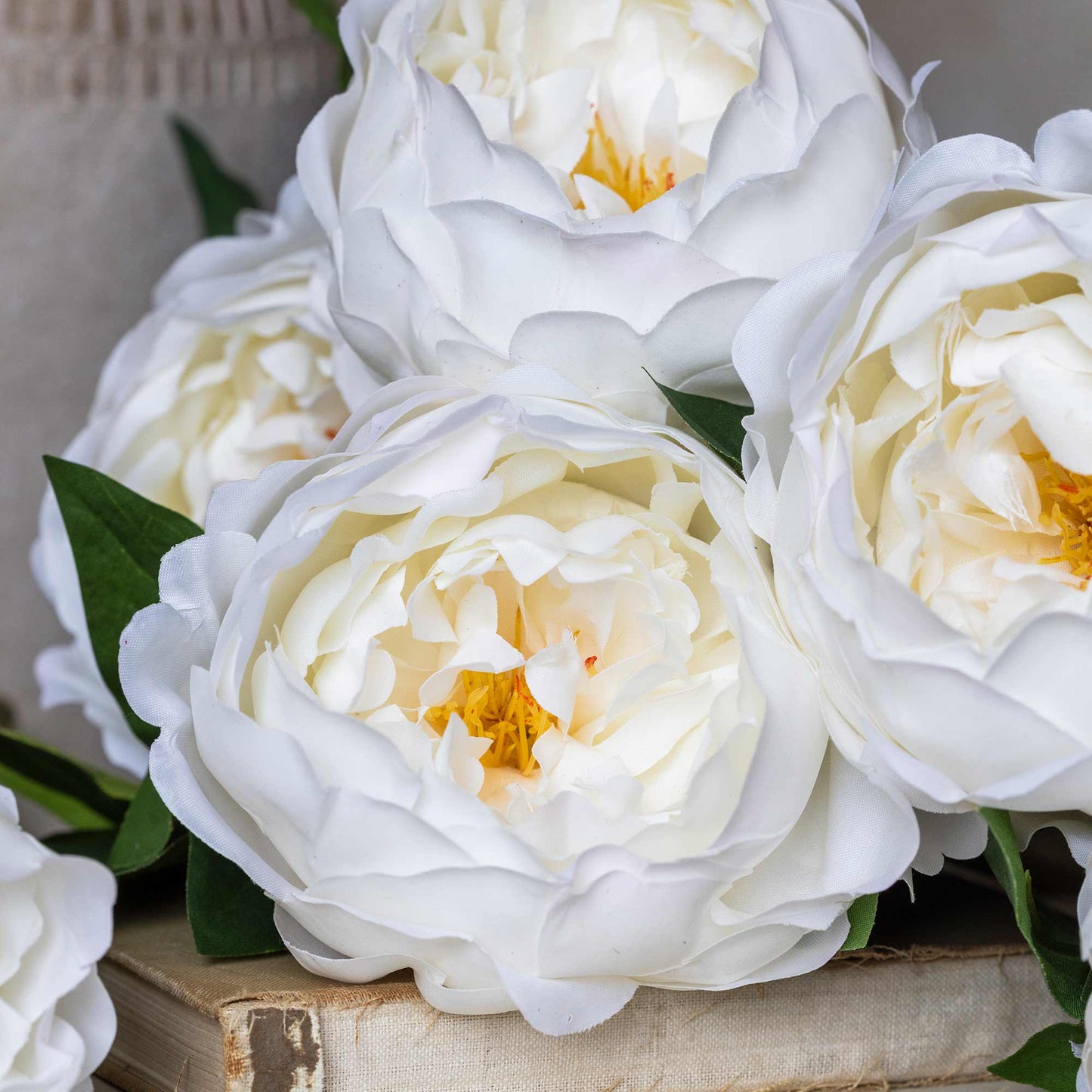 DIMM: Gerviblóm · Peony · White