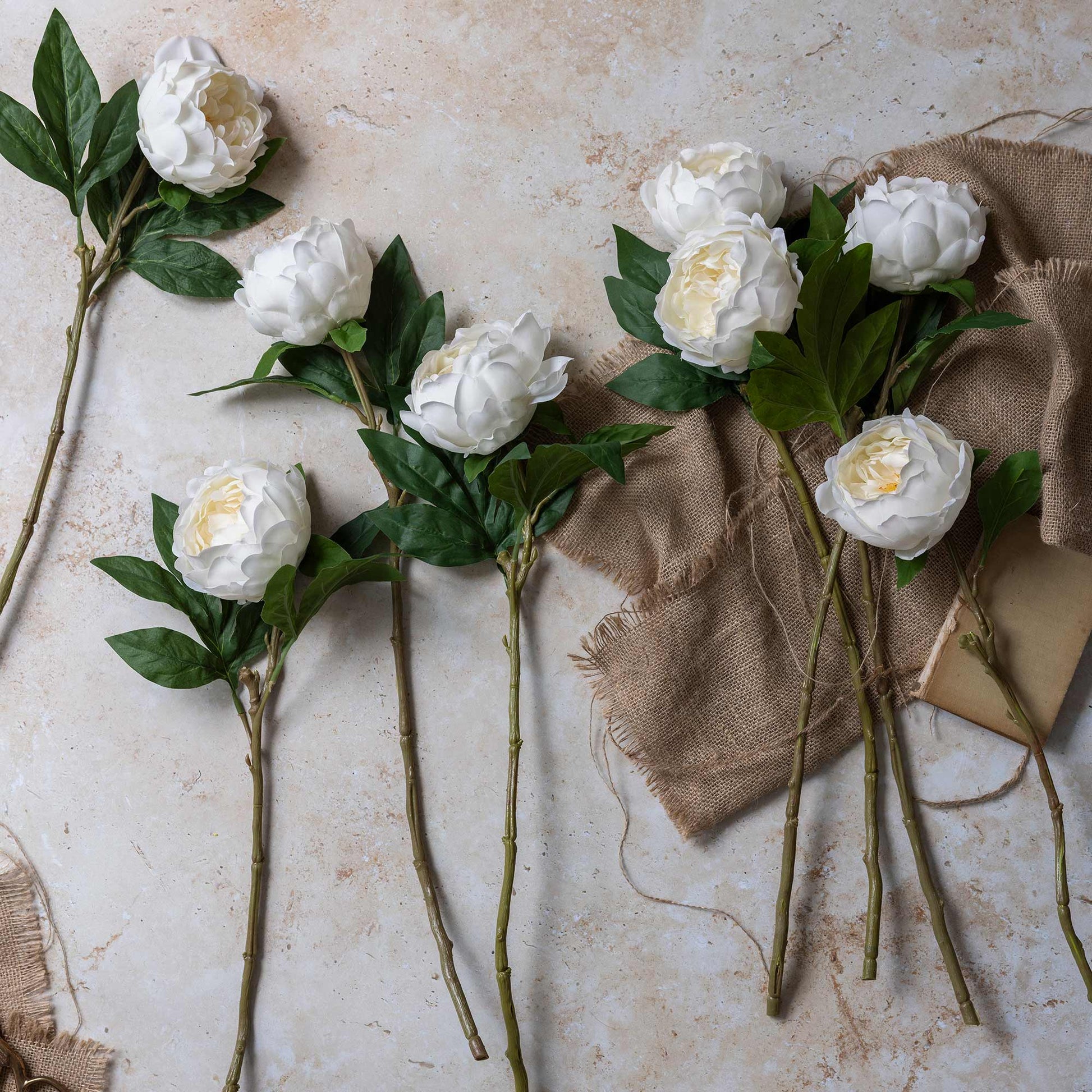 DIMM: Gerviblóm · Peony · White