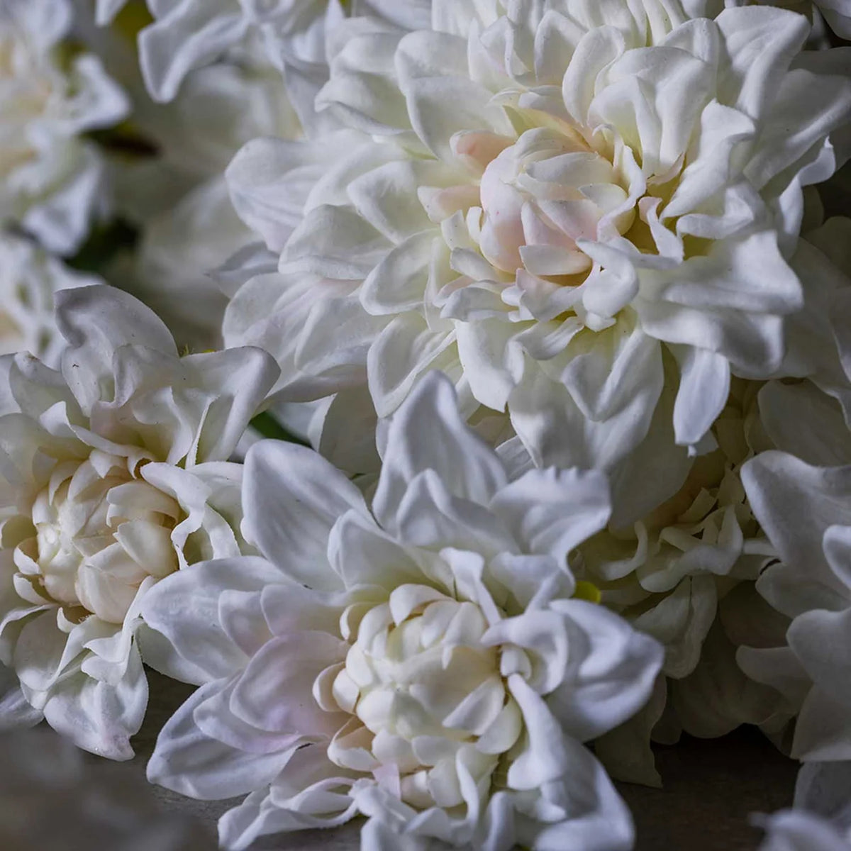 DIMM: Gerviblóm · Real Touch Dahlia · Cream