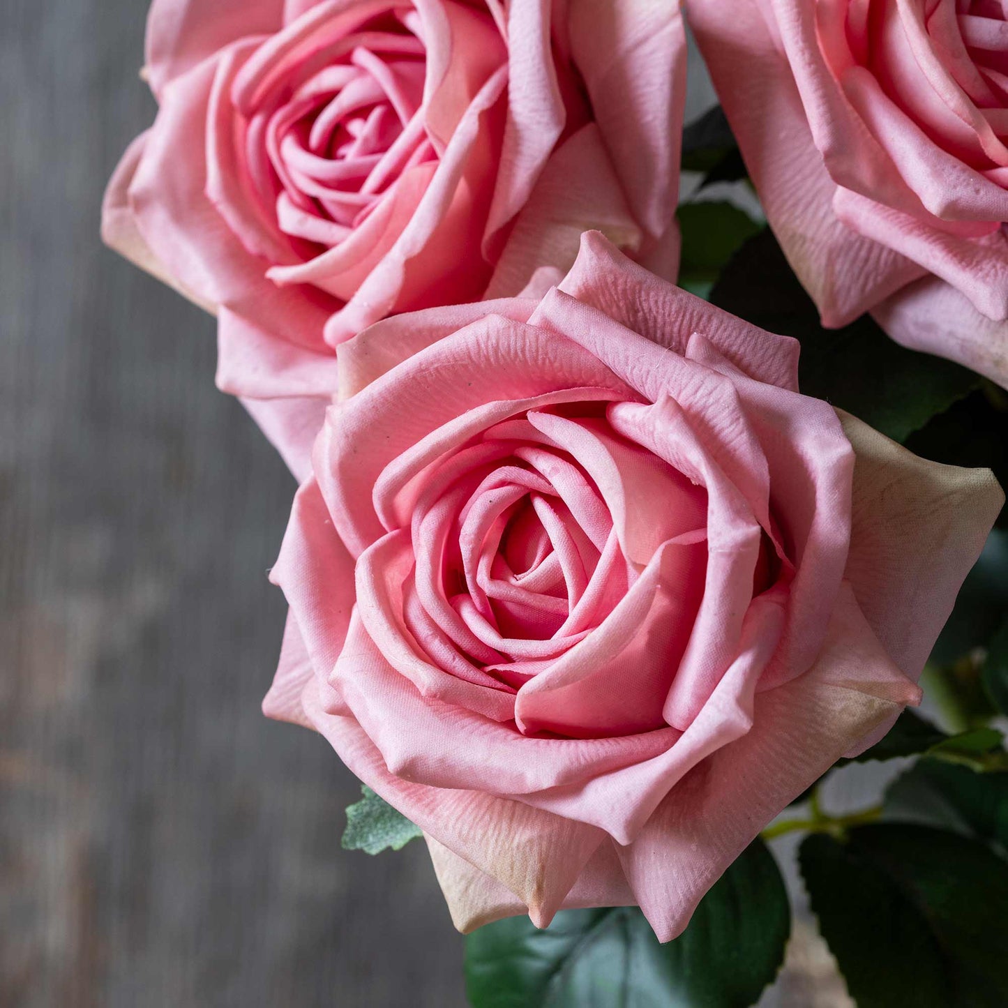 DIMM: Gerviblóm · Rose Peach