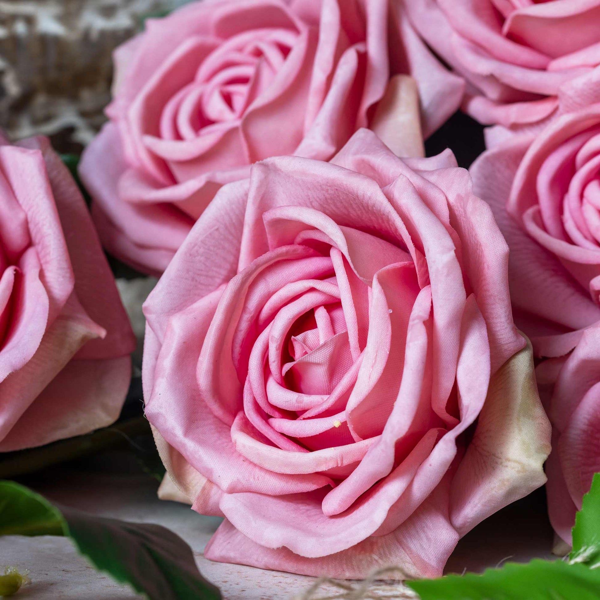 DIMM: Gerviblóm · Rose Peach