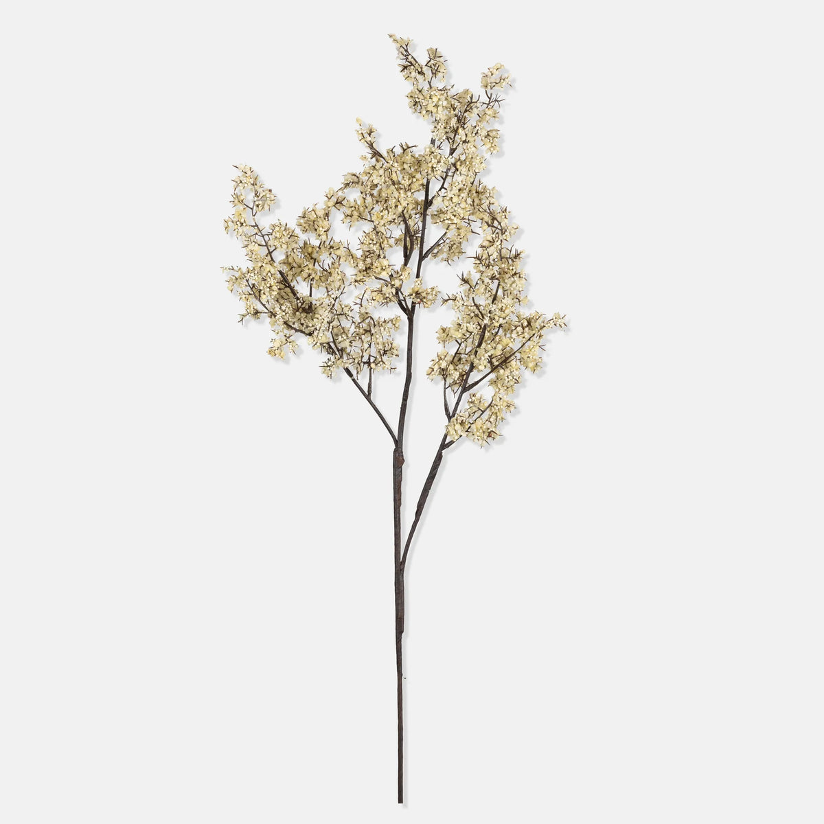 DIMM: Gerviblóm · Sedge Winter Dew · Large