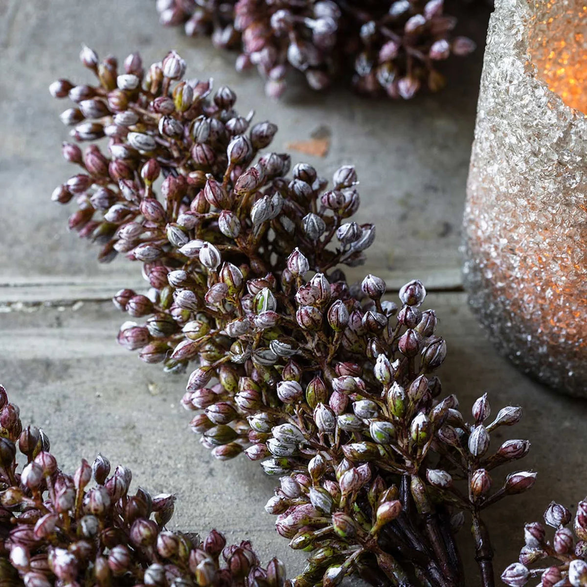 DIMM: Gerviblóm · Sorghum Sunrise
