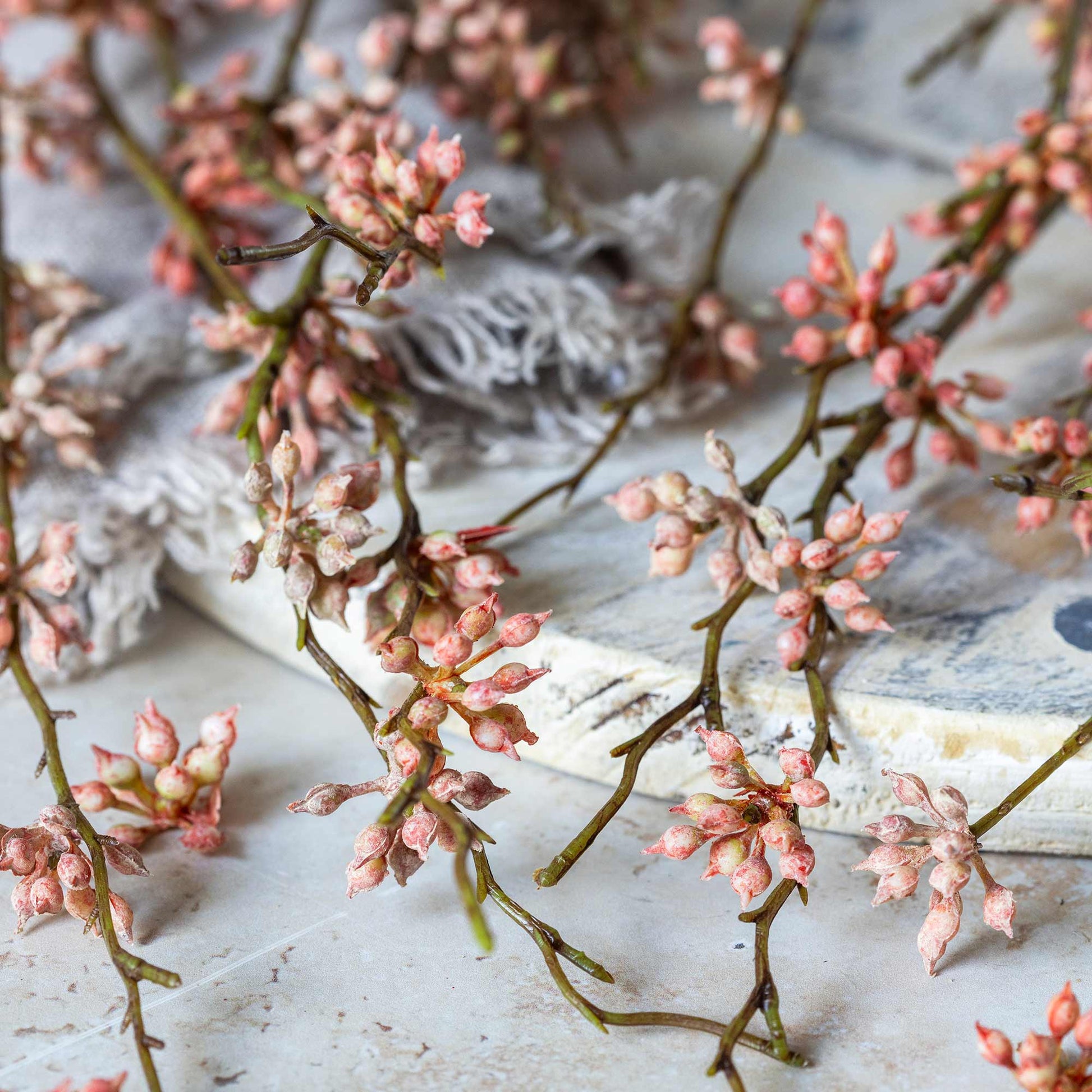 DIMM: Gerviblóm · Succulent Coral