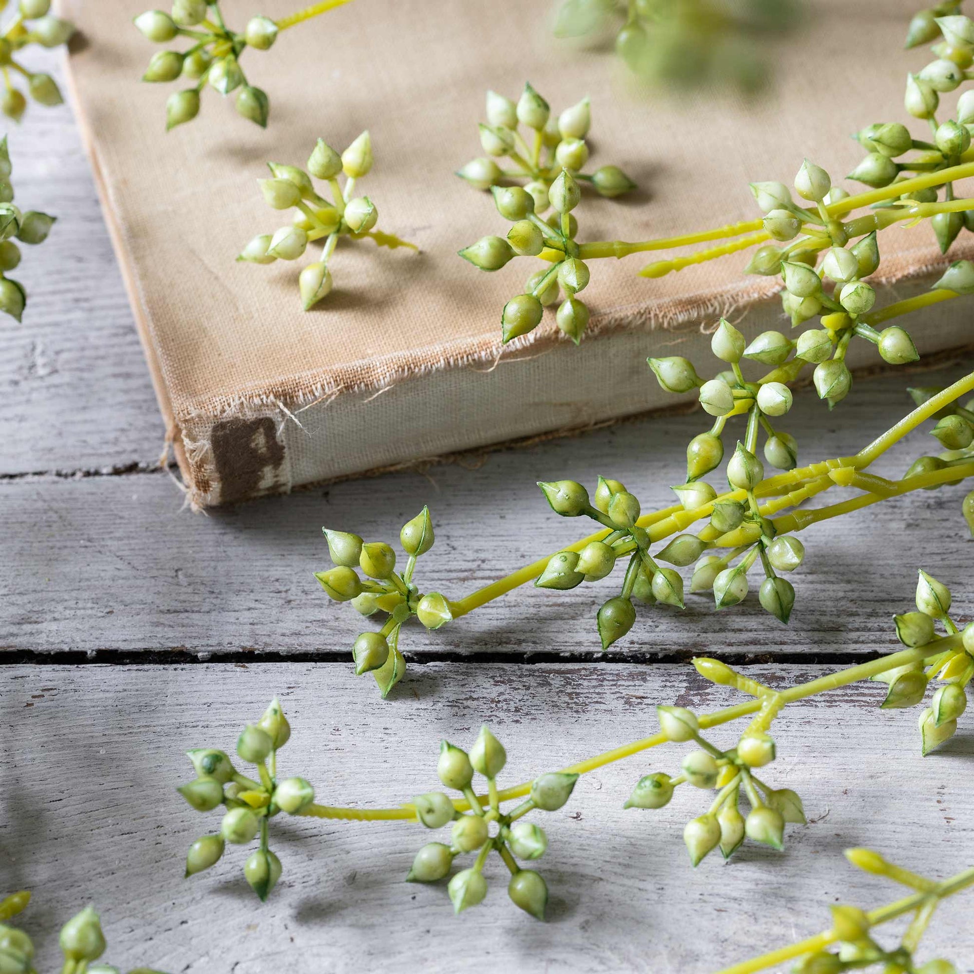 DIMM: Gerviblóm · Succulent Bunch · Green
