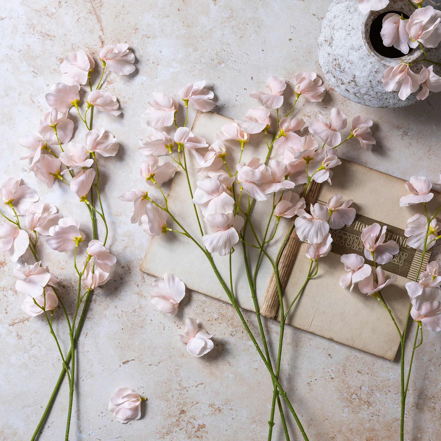 DIMM: Gerviblóm · Sweet Pea