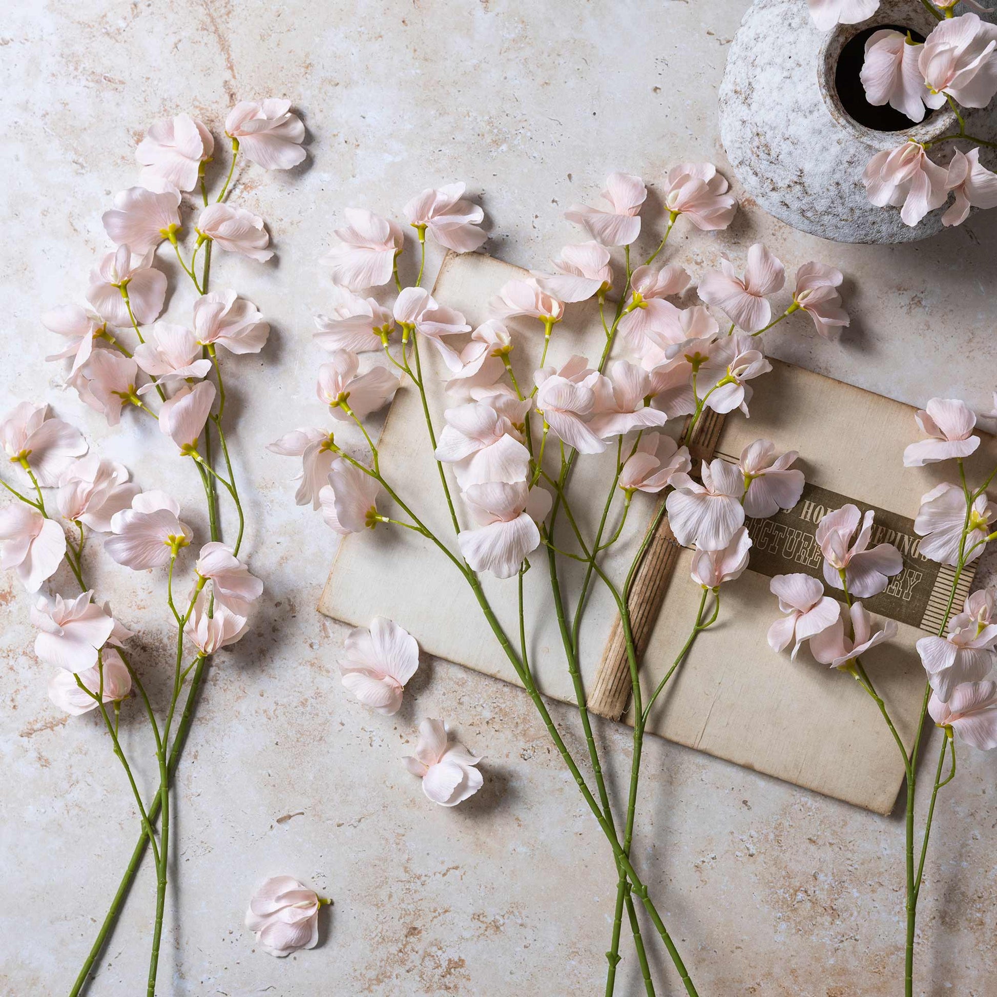 DIMM: Gerviblóm · Sweet Pea