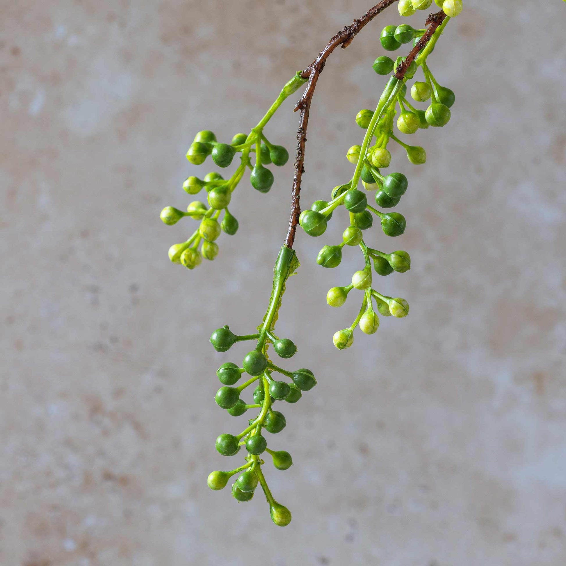 DIMM: Gerviblóm · Viburnum