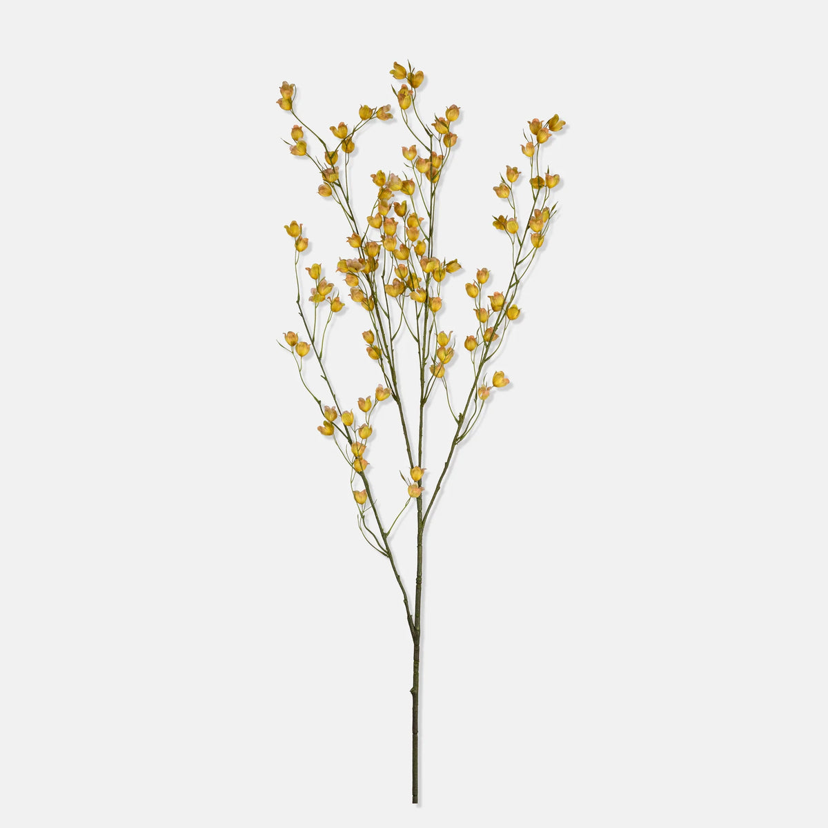 DIMM: Gerviblóm · Wild Canterbury Blossom