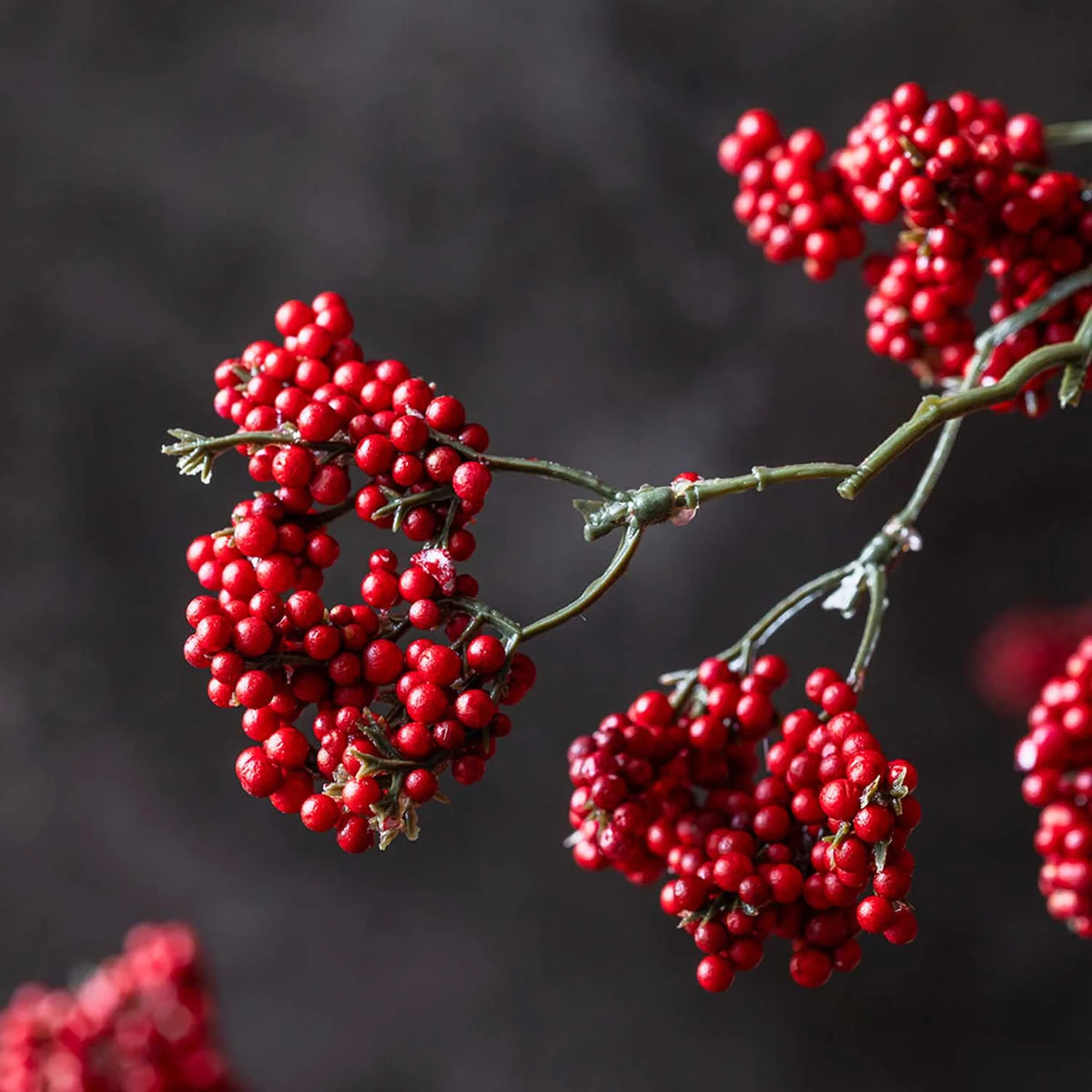 DIMM: Gerviblóm · Wild Winter Berry · Ruby