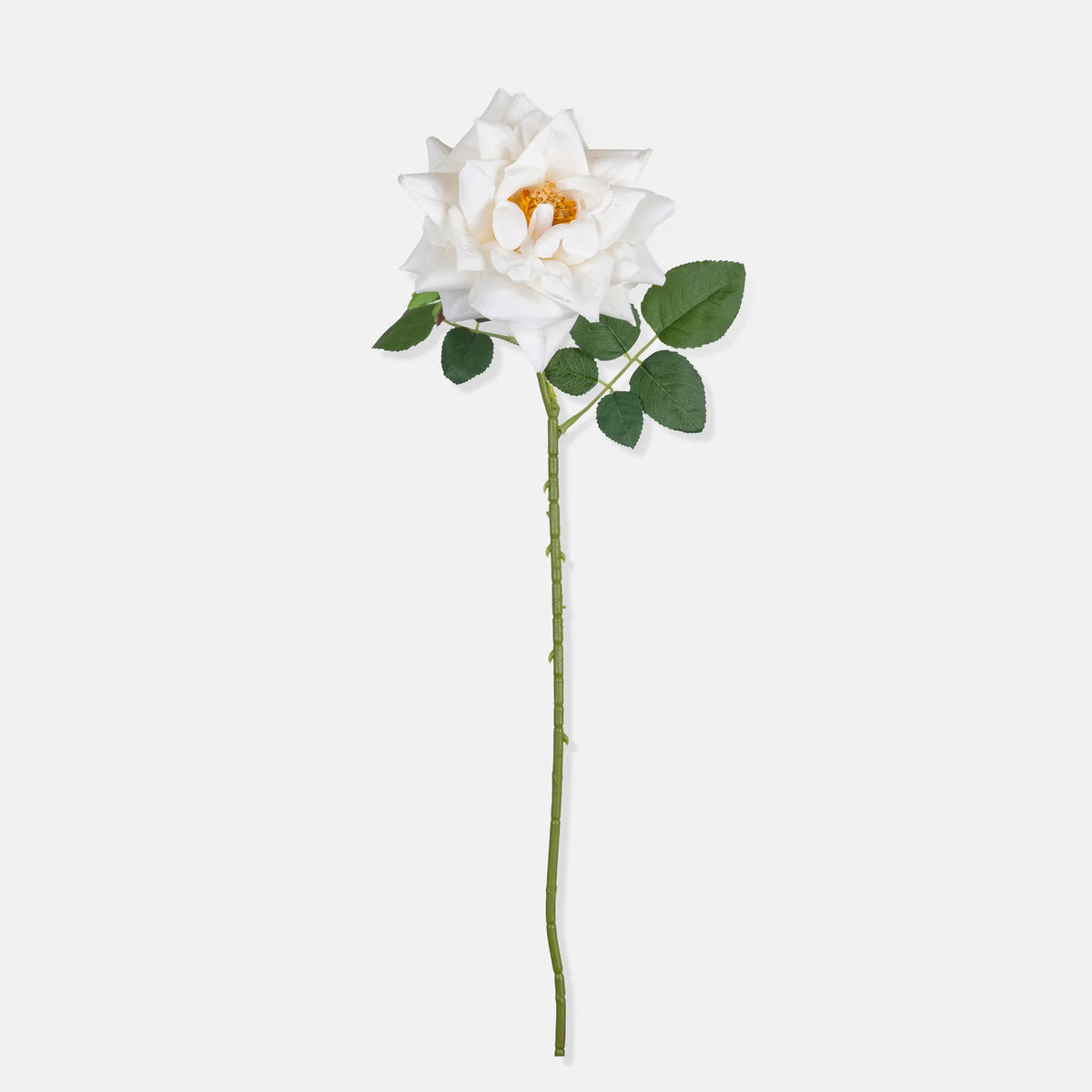 DIMM: Gerviblóm · Winter Rose