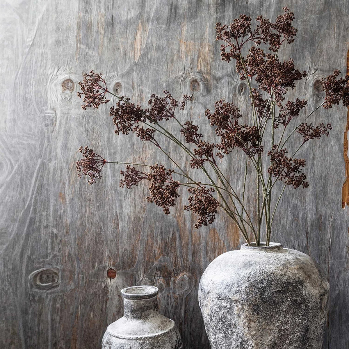 DIMM: Gerviblóm · Woodland Yarrow