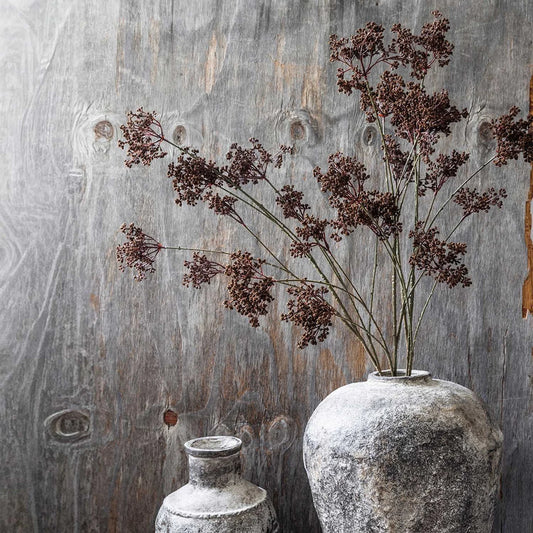 DIMM: Gerviblóm · Woodland Yarrow