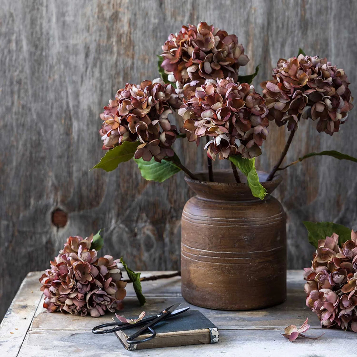 Gerviblóm · Hydrangea · Antique Pink