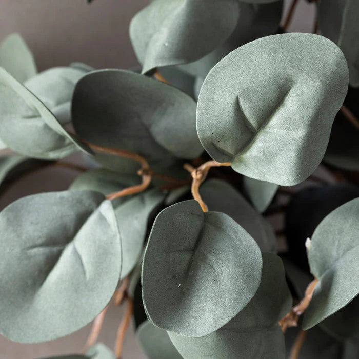 DIMM: Abigail Ahern gerviblóma krans · Eucalyptus