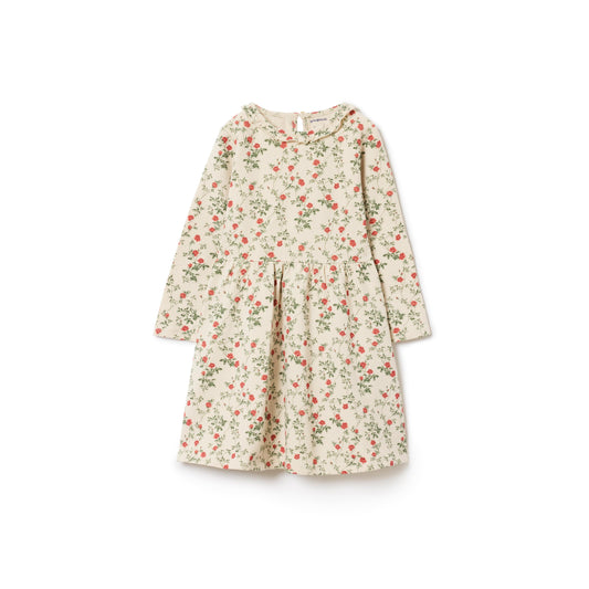 DIMM: Kjóll · Petit Rose