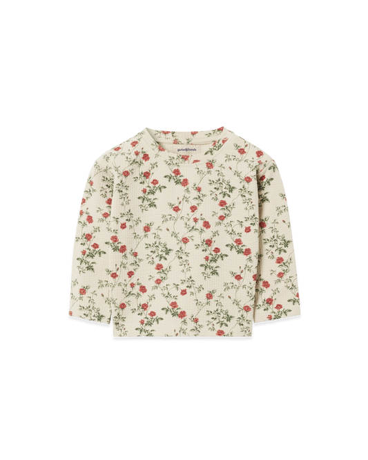 DIMM: Langermabolur · Petit Rose