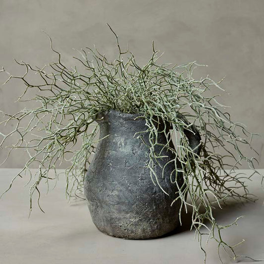 DIMM: Abigail Ahern gerviblóm · Grass bush