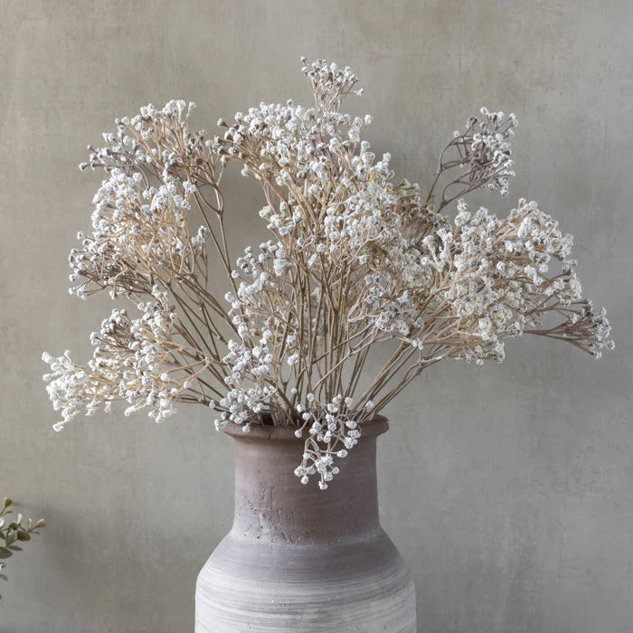 DIMM: Abigail Ahern gerviblóm · Gypsophila stem