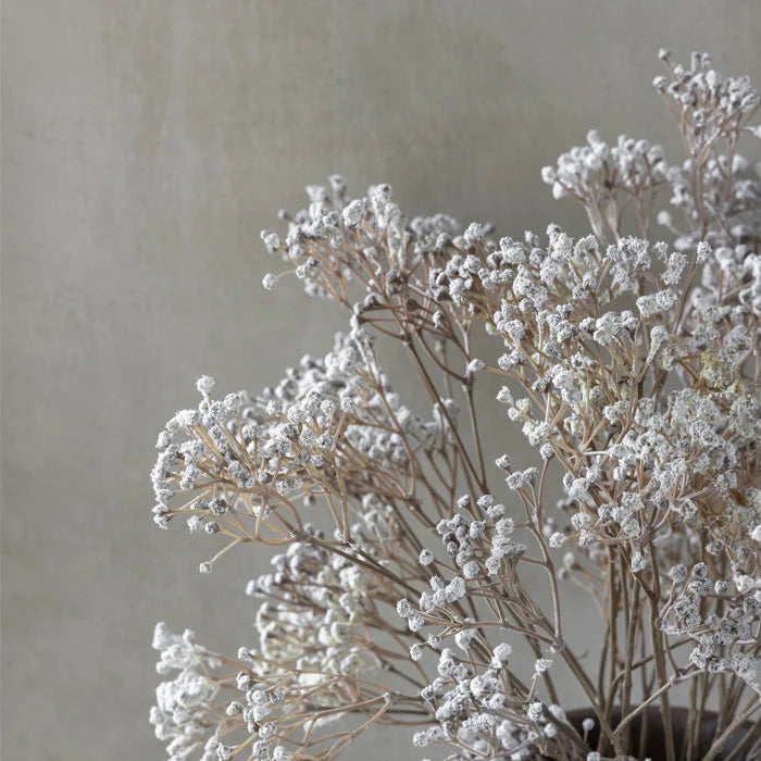 DIMM: Abigail Ahern gerviblóm · Gypsophila stem