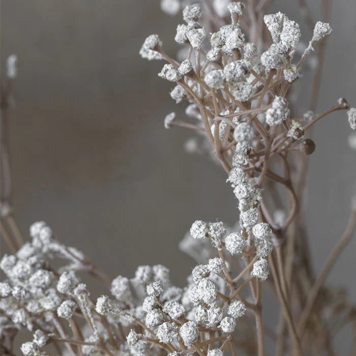 DIMM: Abigail Ahern gerviblóm · Gypsophila stem