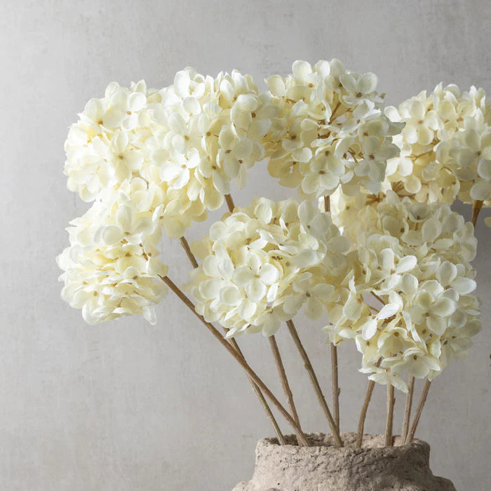 DIMM: Abigail Ahern gerviblóm · Hydrangea Cream