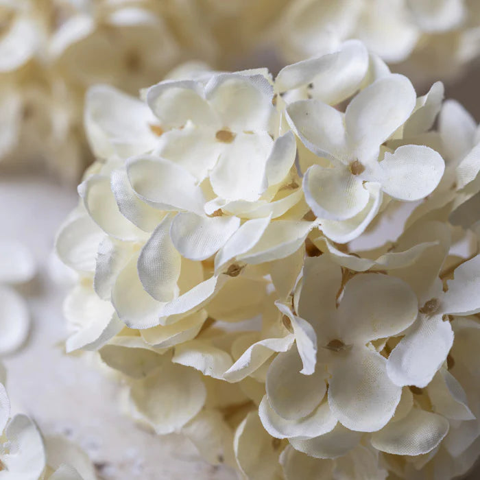 DIMM: Abigail Ahern gerviblóm · Hydrangea Cream