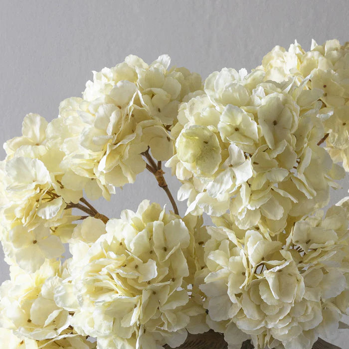 DIMM: Abigail Ahern gerviblóm · Hydrangea Lace