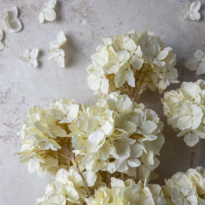 DIMM: Abigail Ahern gerviblóm · Hydrangea Lace