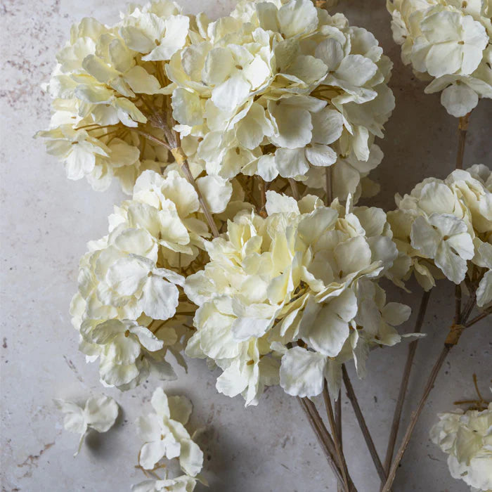 DIMM: Abigail Ahern gerviblóm · Hydrangea Lace