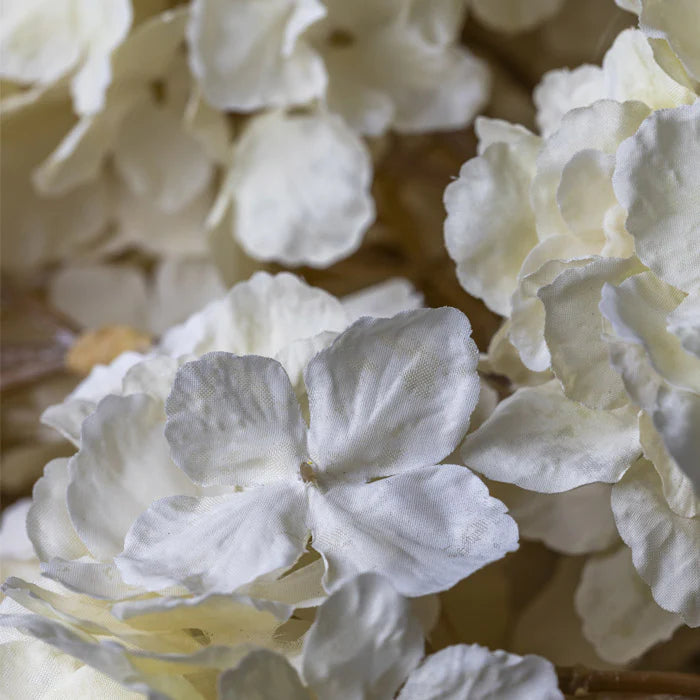 DIMM: Abigail Ahern gerviblóm · Hydrangea Lace