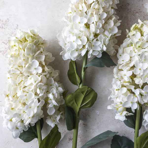 DIMM: Abigail Ahern gerviblóm · Hydrangea Paniculata Cream