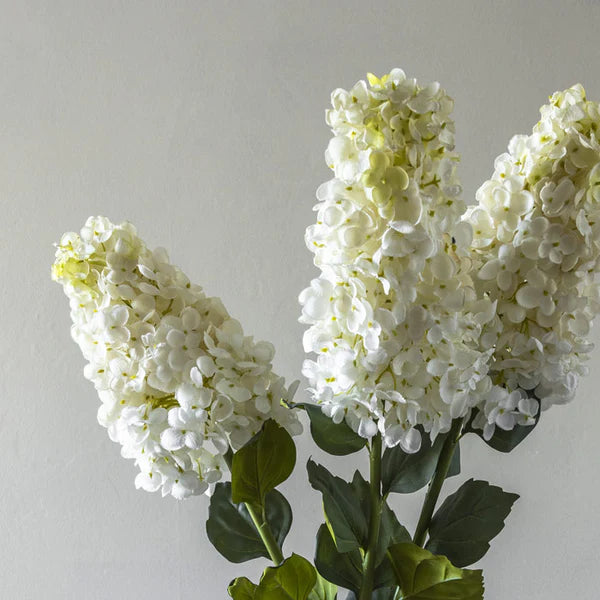 DIMM: Abigail Ahern gerviblóm · Hydrangea Paniculata Cream