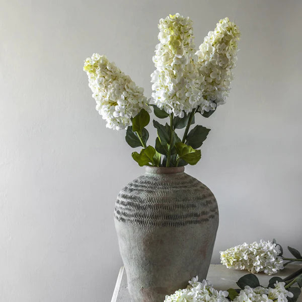 DIMM: Abigail Ahern gerviblóm · Hydrangea Paniculata Cream