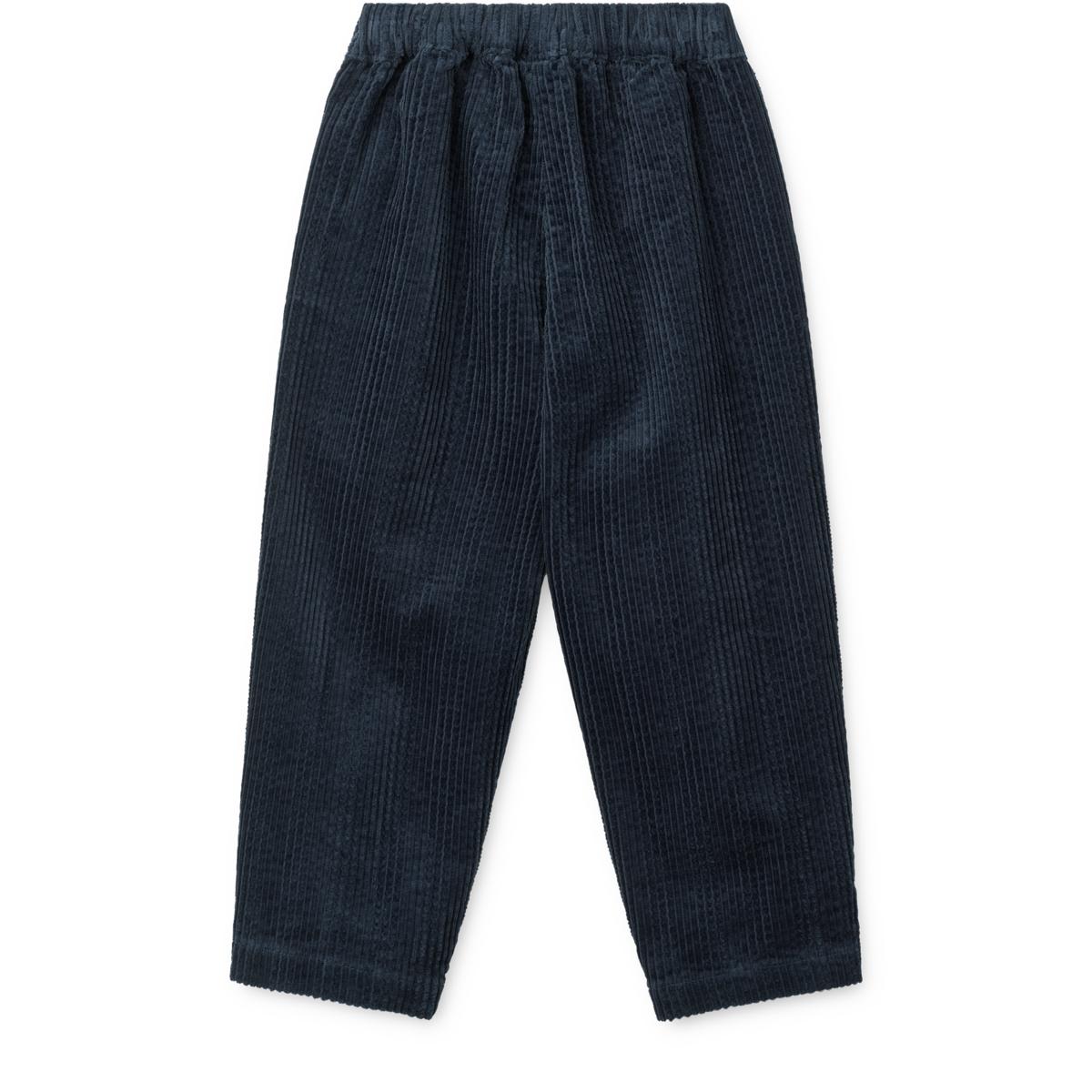 DIMM: Liewood Borris Flauelsbuxur · Classic Navy