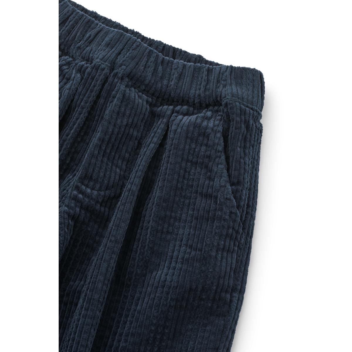 DIMM: Liewood Borris Flauelsbuxur · Classic Navy