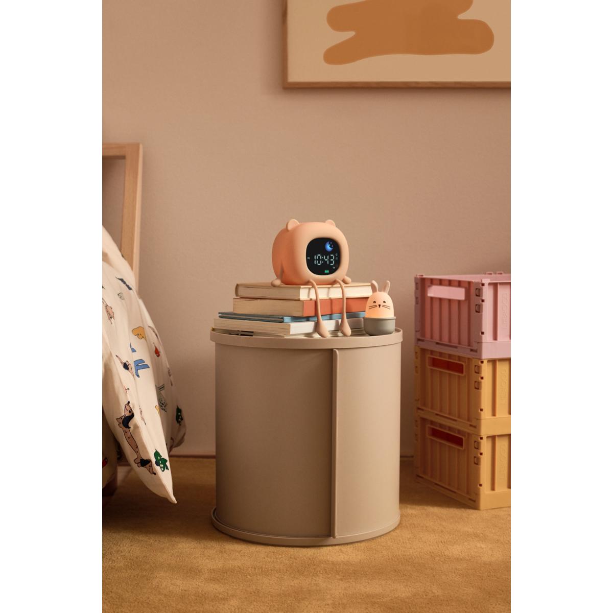 DIMM: Dani svefnþjálfi með hljóði · Sandy