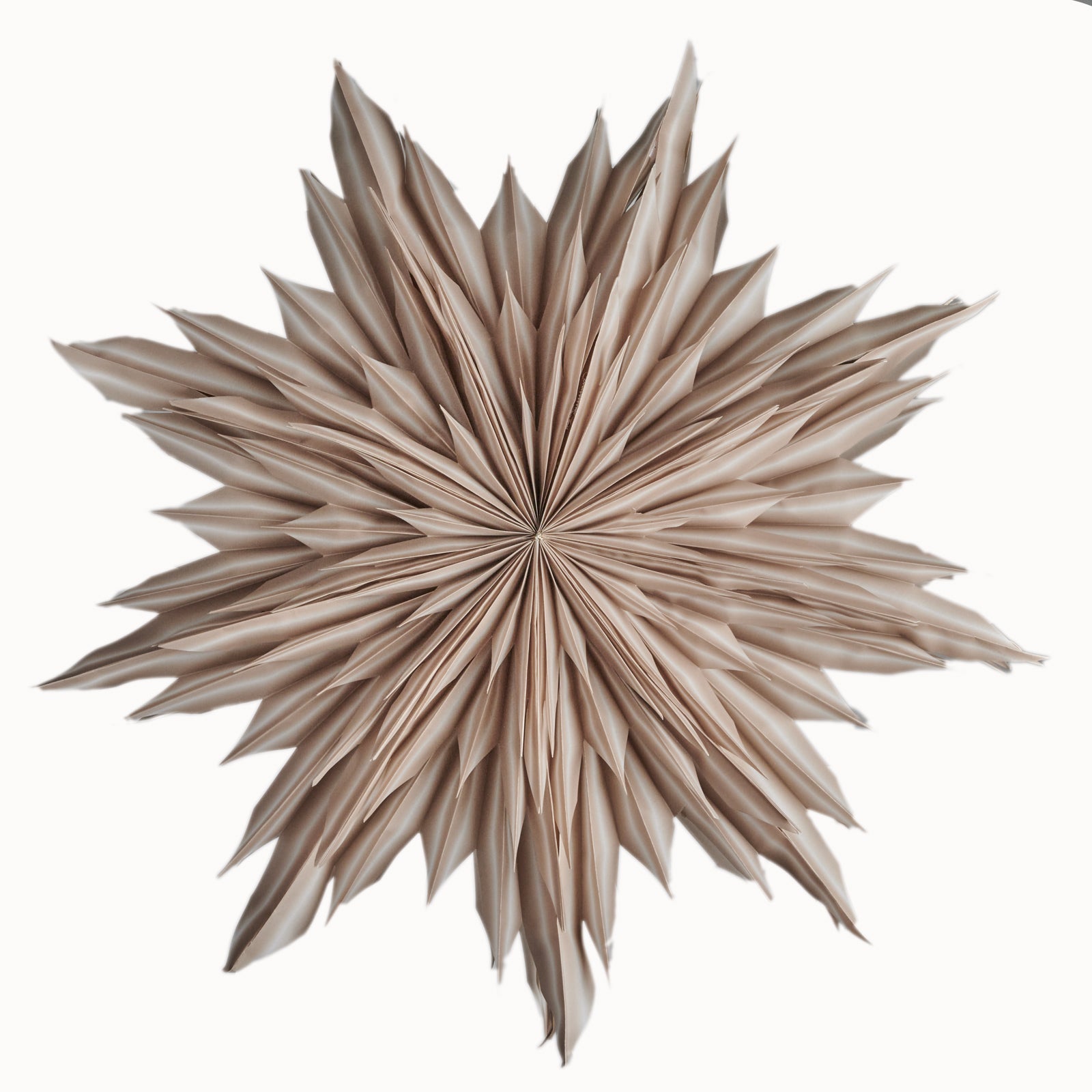 DIMM: Jólastjarna · Helena · 44cm · Beige