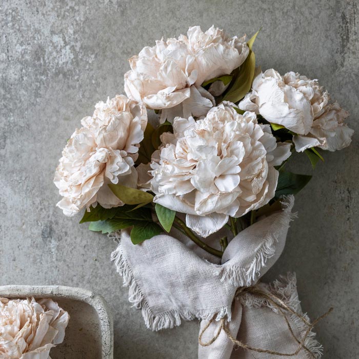 DIMM: Gerviblóm · Peony Evening Dew