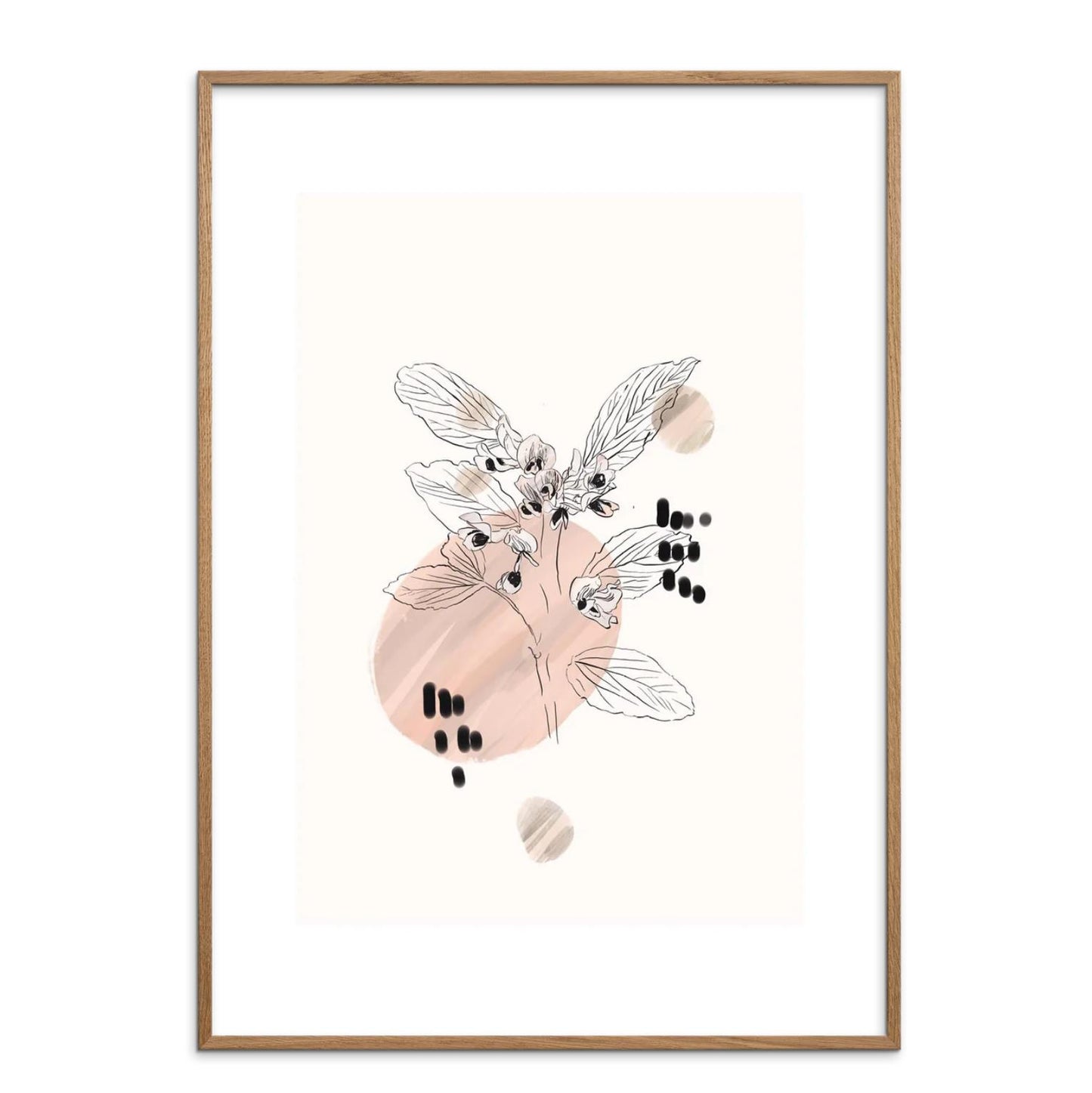 DIMM: Veggspjald · Sara Rossi · Botanica Fave