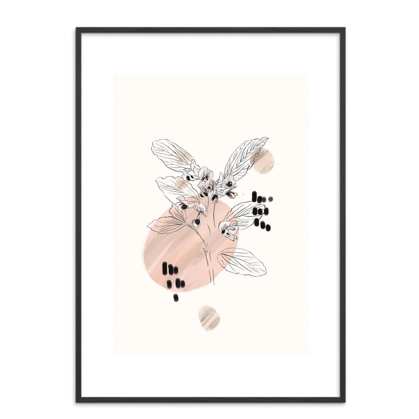 DIMM: Veggspjald · Sara Rossi · Botanica Fave